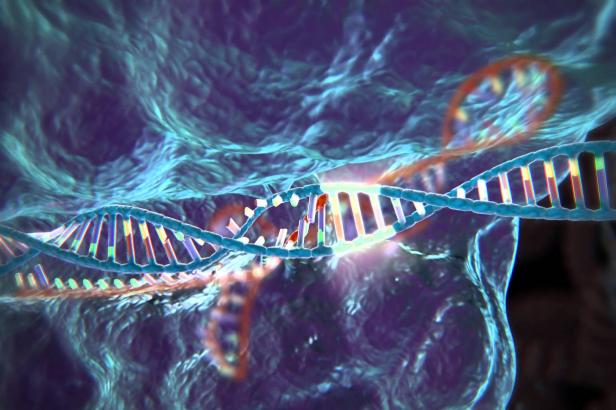 

Nobelovu cenu za chemii dostaly dvě vědkyně za genetické nůžky, tedy nástroj umožňující měnit geny

