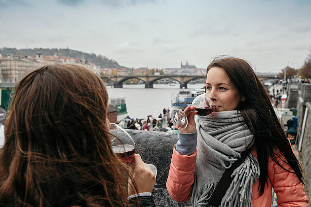 Listopad patří Svatomartinskému vínu