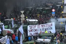 Protesty farmářů se přesunuly do Bruselu. Chtějí oslovit summit evropských lídrů