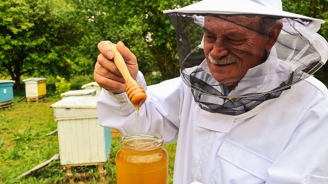 Včelaři si oddychli. Úhyn včel je po zimě nižší než v předchozím roce