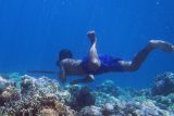 Vodní lidé z indonéského kmene Bajau vydrží pod vodou přes 10 minut. Pomáhá jim zvětšená slezina