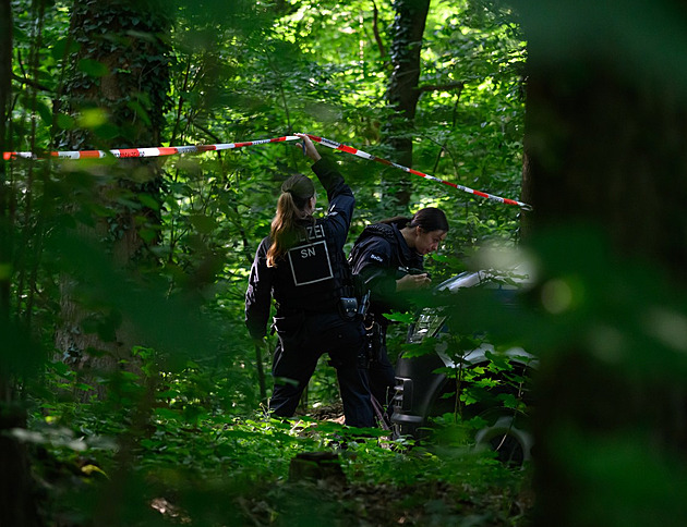 Němci pátrají po muži podezřelém z vraždy devítileté dívky. Stopa vede do Česka