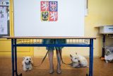Průzkum: 41 procent lidí je spokojených s výsledky eurovoleb. Za nejdůležitější téma považují migraci
