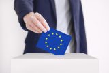 Analytik Kratochvíl: Zvýšenou účast ve volbách do EU způsobili ti, kteří chtěli vyjádřit protest