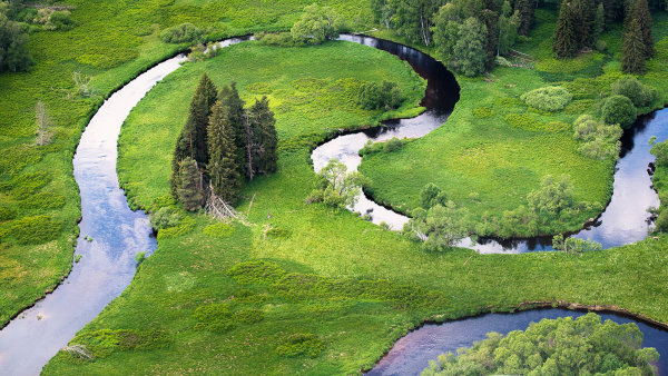 Evropa vysází tři miliardy stromů a obnoví tisíce kilometrů řek. Státy EU schválily těžce vyjednané nařízení