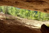 Vědci v Indonésii našli nejstarší jeskynní malbu na světě. Je na ní vyobrazeno prase