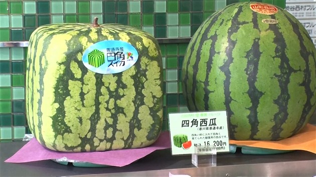 Hranaté melouny v Japonsku zlevnily. Už je koupíte „jen“ za 1 500 korun