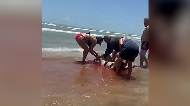 Na texaské pláži útočil žralok. Dva lidé skončili s vážnými zraněními v nemocnici
