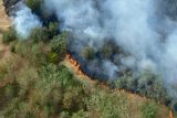 Čeští hasiči se po týdnu vracejí z Bulharska, pomáhali tam hasit rozsáhlé lesní požáry