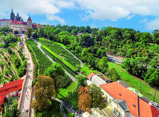 Na vinicích je báječně, to vědí i Pražané. V metropoli je to velká pohoda