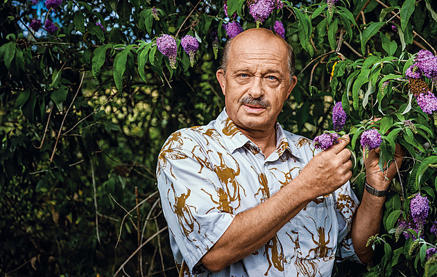 Shnilé ovoce či nemocné rostliny na kompost? Nahráváte škůdcům, varuje agronom