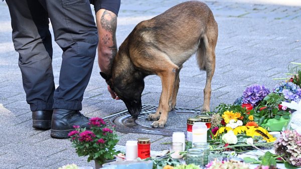 Kriminalita, stagnace, divná rozhodnutí. Co je špatně s Německem a může mu něco poradit Česko?