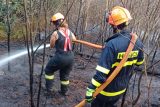 V Městečku Trnávka hoří dva hektary lesa, nasazený byl i vrtulník. Hasiči dostali požár pod kontrolu