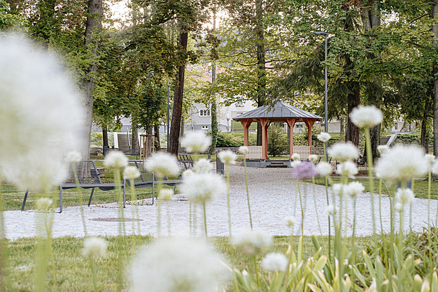 Z ostudy příjemné místo. Štěpánčin park v Prachaticích se vyhrabal z izolace