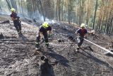 Hasiči po čtyřech dnech zlikvidovali požár v Městečku Trnávce. Napáchal škodu za půl milionu korun