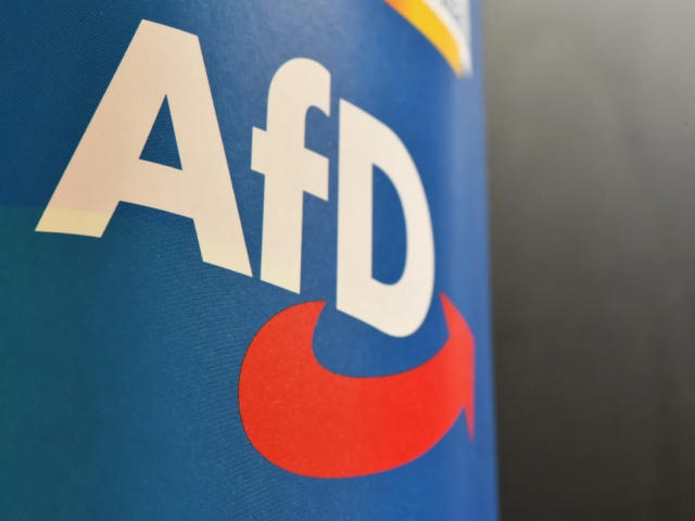 AfD je favoritem i v Braniborsku, po 30 letech by deklasovala sociální demokraty