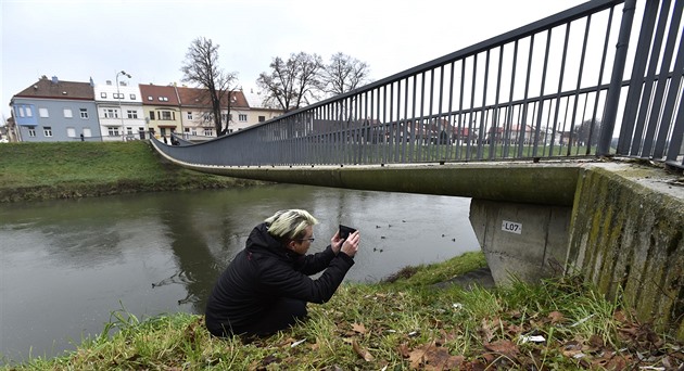 Kritický scénář podle meteorologa: Morava může stoupnout až o sedm metrů