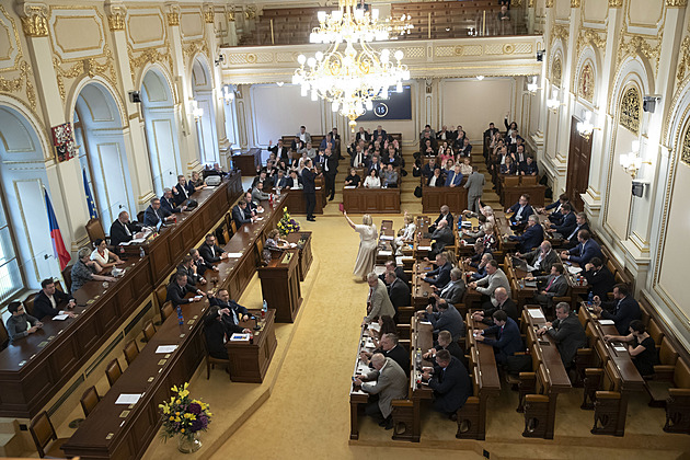 Nejméně Češi věří politickým stranám, nejvíce důvěry mají v ostatní lidi