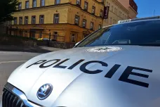 Policie dopadla aktivistu Popelku. Ve vězení si už odpykává trest, kterému se vyhýbal