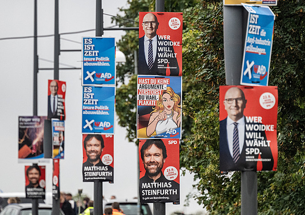 Braniborsko volí. Může zpečetit osud SPD a Scholze, favoritem je AfD