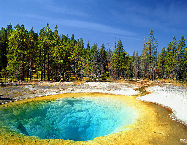 Kdysi blankytně modré, dnes žluté. Termální jezírko v Yellowstonu zničili turisté