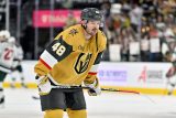 Hertl zapsal v přípravě NHL tři asistence. Ze souboje Las Vegas se San Jose ale nakonec vyšel vítězně Rutta