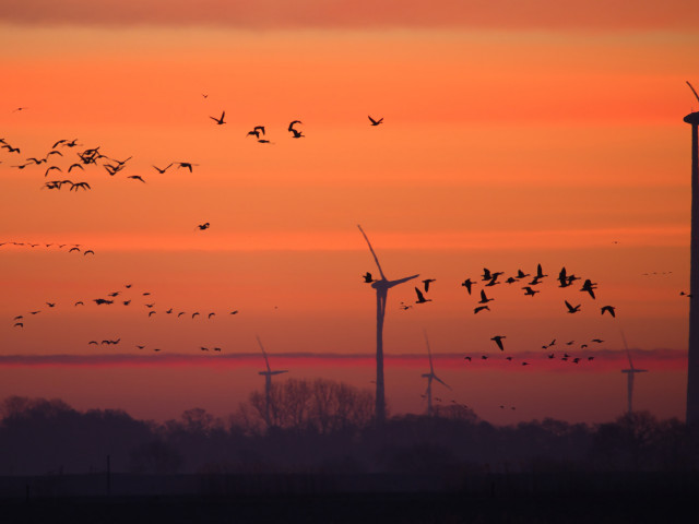 Češi váhají s přechodem na zelené zdroje, bojí se zdražení energií, ukázal průzkum