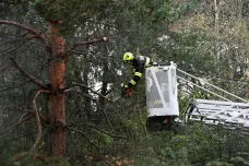 Lesům ČR zabere obnova po povodních nejméně dva roky