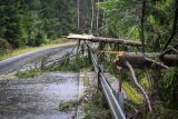 Záplavy způsobily Lesům ČR škody za 3,2 miliardy korun. Obnova zabere nejméně dva roky