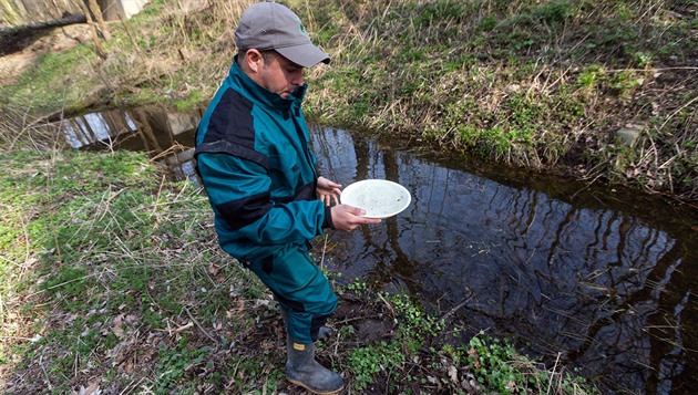 Na Moravě hrozí komáří kalamita, záplavy zajistily vláhu pro jejich líhně