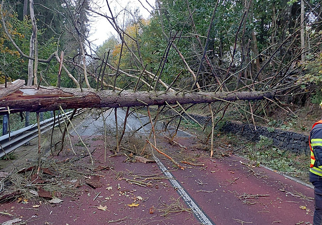 Silný vítr v Karlovarském kraji kácel stromy, do jednoho narazil vlak