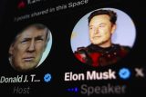 Trump a jeho Baby boomers, nebo Musk?