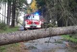 Do Česka v noci dorazí silný vítr, meteorologové varují před pády větví a škodami na budovách