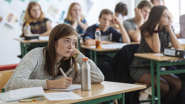 Na základce jen do osmé třídy, dva roky povinně na střední, pak malá maturita, navrhuje poslankyně