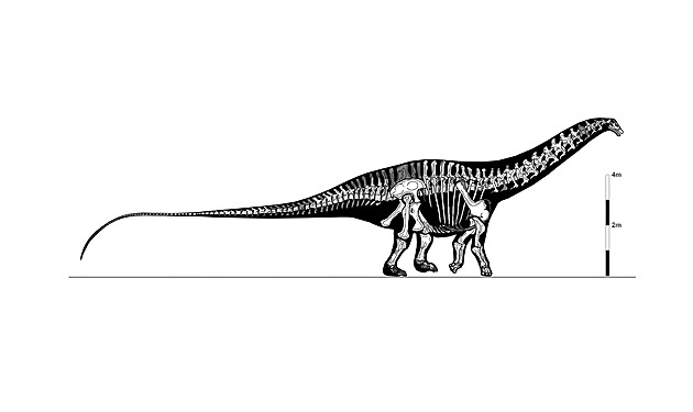 Nová práce vysvětluje, zda mohli dinosauři vytvořit aerodynamický třesk