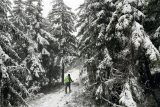 V noci na úterý na horách na severu Česka padal sníh. Na jednom místě v Jeseníkách se udržel