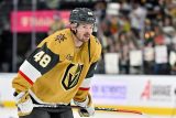 Hertl čtyřmi body řídil výhru Vegas nad Los Angeles. Chytil dvakrát skóroval