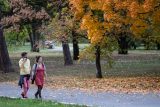 V Česku naměřili v pondělí i více než 21 stupňů. Rekord hlásí desetina meteorologických stanic