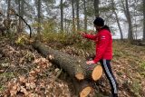 Výzkum nejhlubší sladkovodní propasti světa u Hranic je pozastaven. Můžou za to popadané stromy