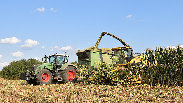 Bude čím krmit krávy? Farmáři se bojí nových protierozních opatření