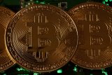 Americké volby hýbou světovými trhy. Podle analytika posilují dolar i bitcoin