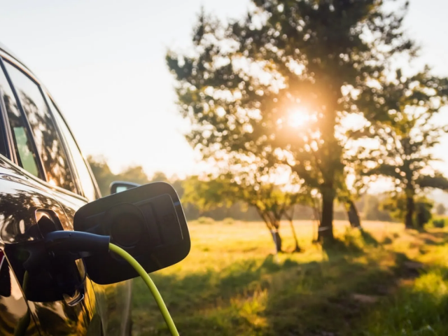 Dotace došly, co bude dál. Těžká cesta k elektromobilitě těžce zkouší trh s auty