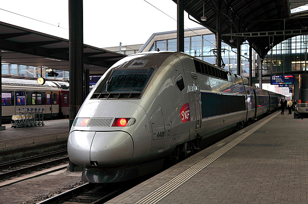 Dráhy nemusí platit pokutu za přejetí kočky TGV, rozhodl odvolací soud