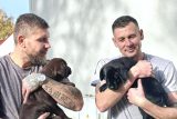 VIDEO: Ve Věznici Jiřice vychovávají vodicí psy pro nevidomé. Teď pečují o dvě nová štěňata labradorů