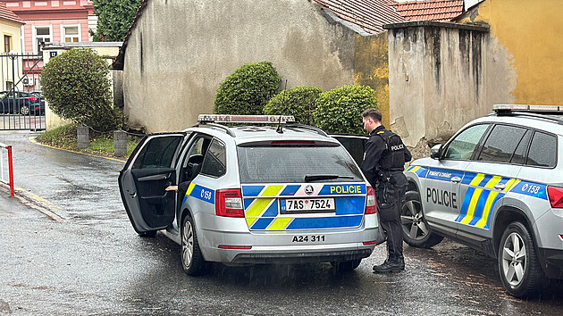 Vydával se za kominíka, seniorku doma ubil k smrti. Muži hrozí až výjimečný trest