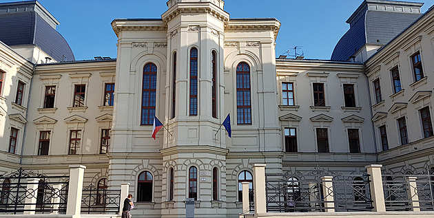 Zabila se pádem ze střechy, když utíkala před partnerem. Ten dostal podmínku