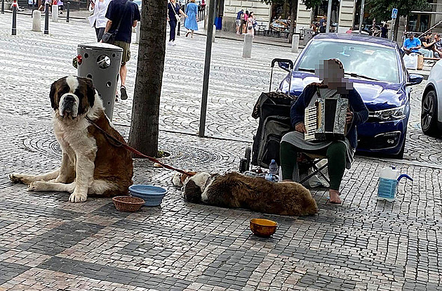 Žebrající Rumuni se psy jsou stále v Praze, strážníci je kárali v jejich jazyce