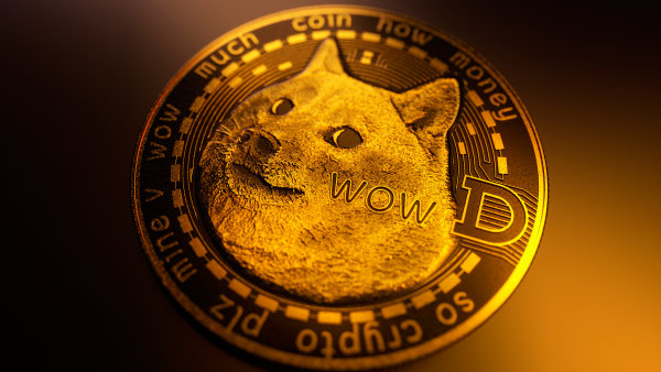 Dogecoin už není vtip. Jmenuje se poněm inové americké ministerstvo