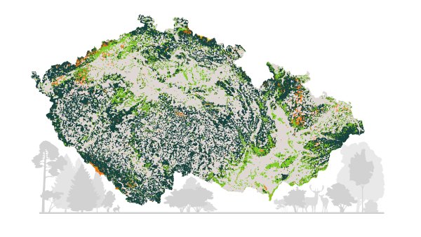 Kůrovcová kalamita v lesích je na ústupu. Holin ubývá. Nově vysázené lesy budou pestřejší a odolnější