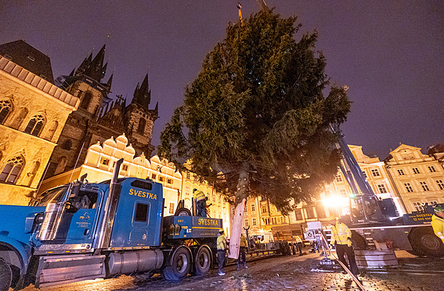 Na Staroměstském náměstí už stojí vánoční strom, do pátku ho budou zdobit